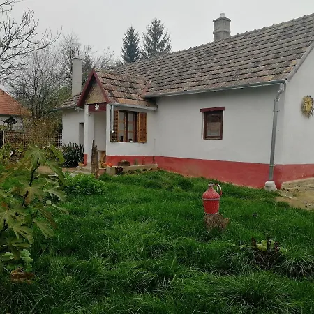 Traditionelles Bauernhaus Flieder Zalaszentgrot Exterior photo
