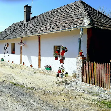 Traditionelles Bauernhaus Flieder Zalaszentgrot Exterior photo