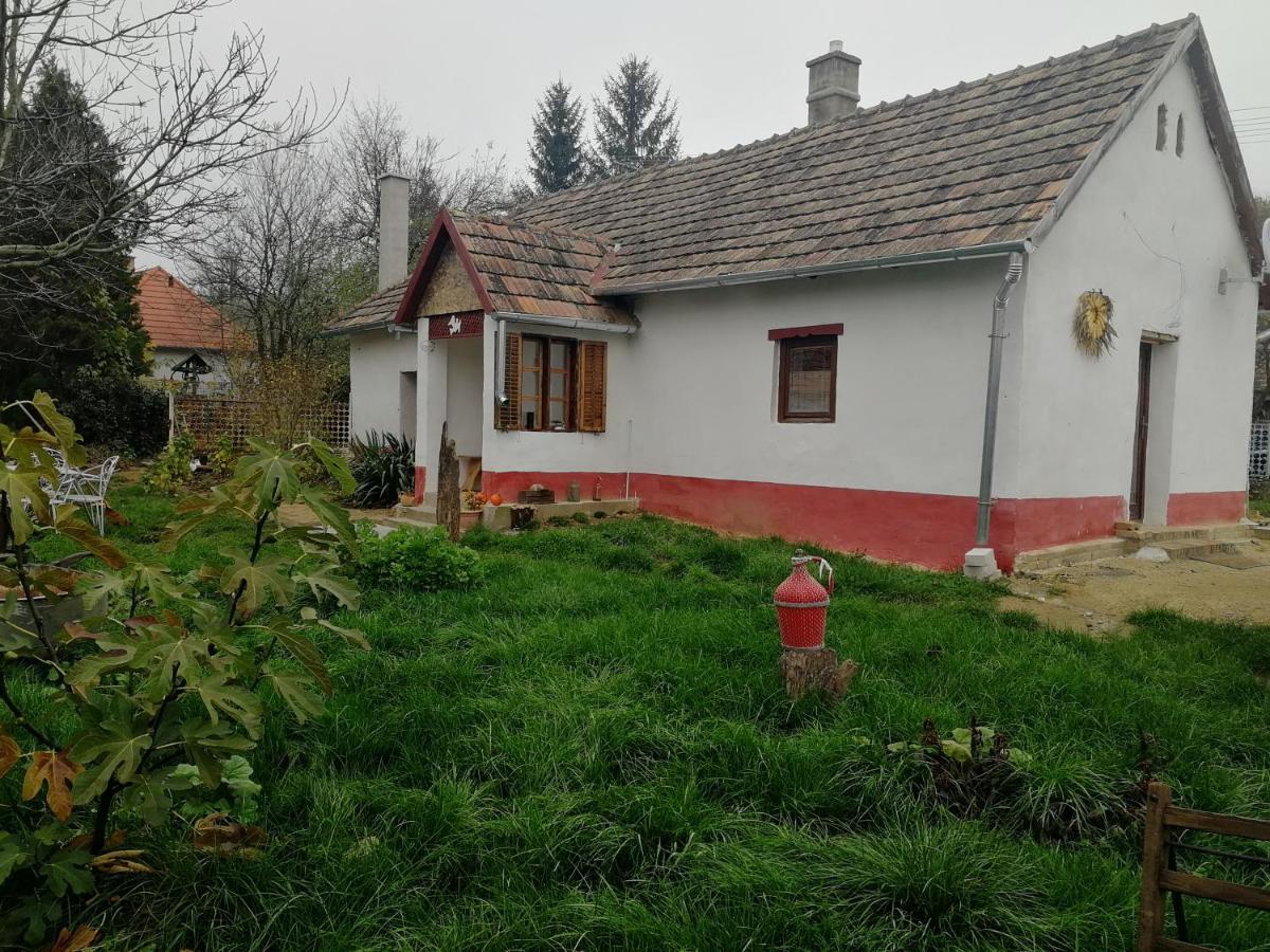 Traditionelles Flieder * Zalaszentgrot