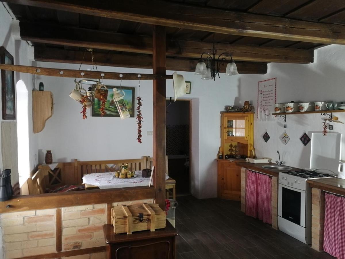 Holiday home Traditionelles Flieder Zalaszentgrot